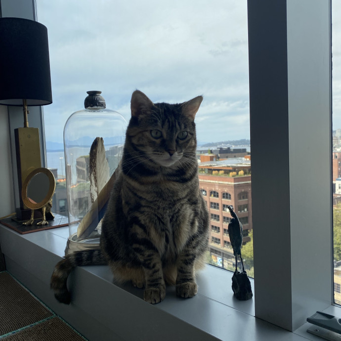 Nel's Cat Haven