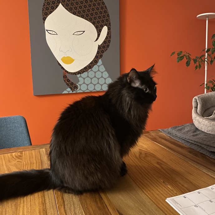 Nel's Cat Haven