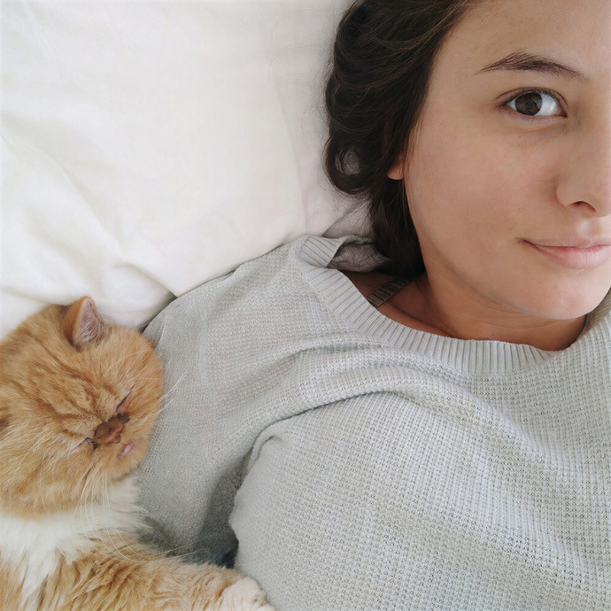 Annie's Cat-Tastic Care