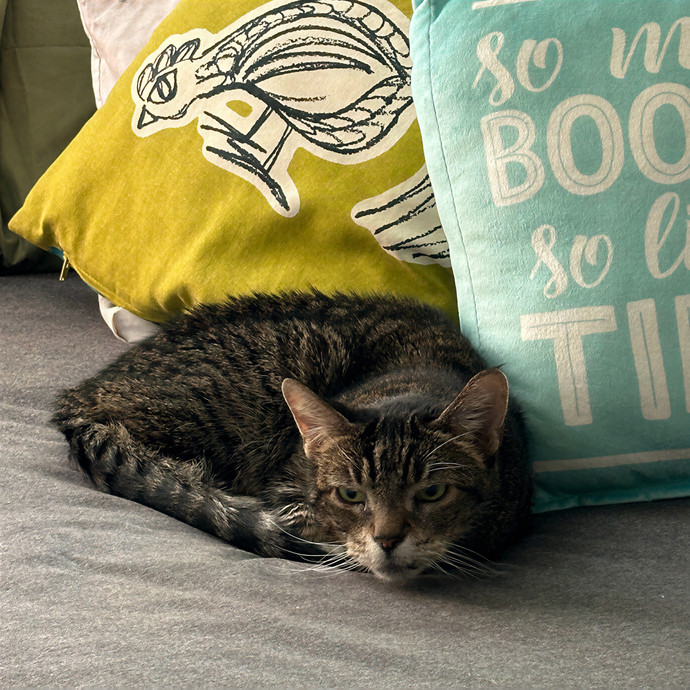 Annie's Cat-Tastic Care