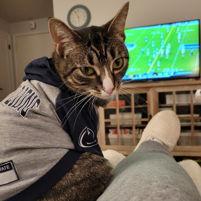 Cat Mom Claire photo 3
