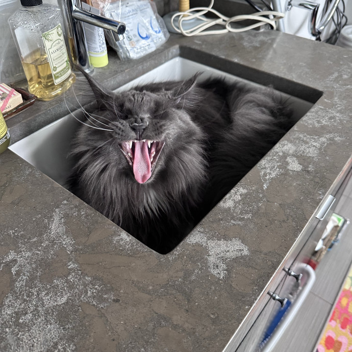 Nashville Cat Care