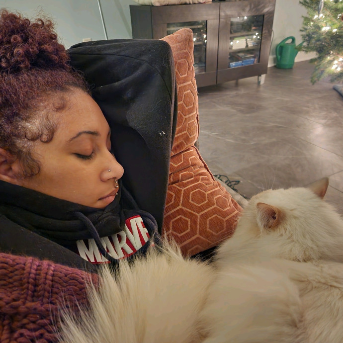 In Home Cat Sitter
