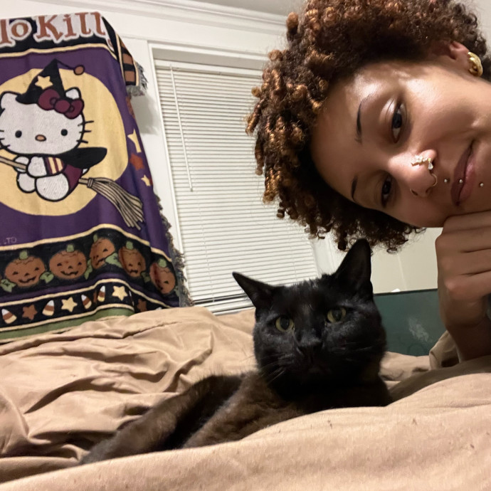 In Home Cat Sitter