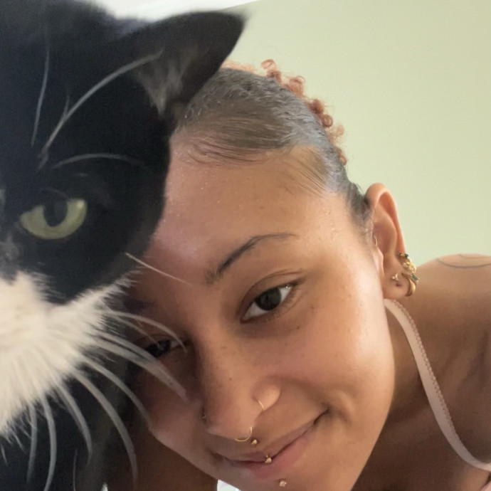 In Home Cat Sitter
