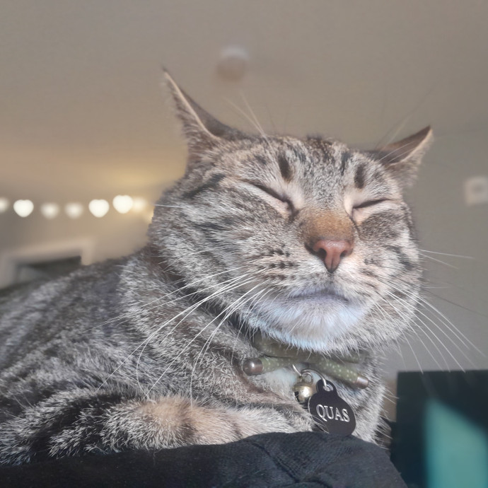 Miriam's Cat Savvy Sitting Services