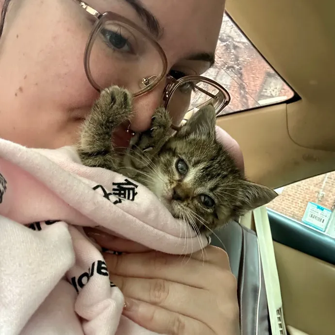 Purrrfect Pet Sitting - Brooklyn Ny