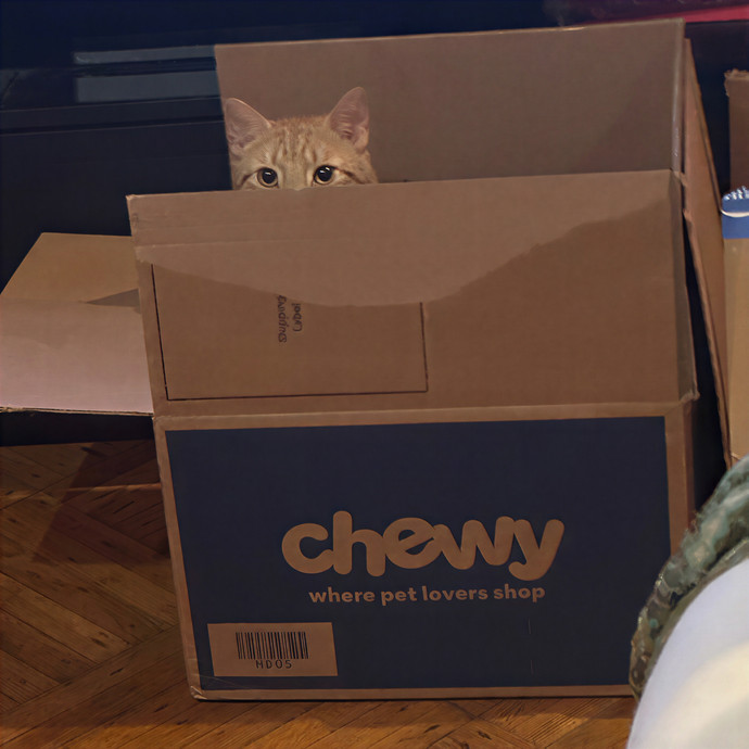 Purrrfect Pet Sitting