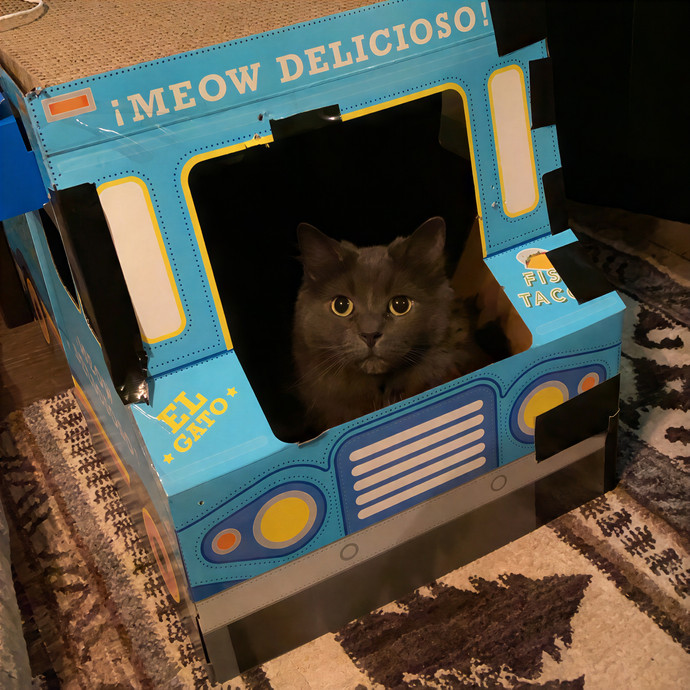 Purrrfect Pet Sitting