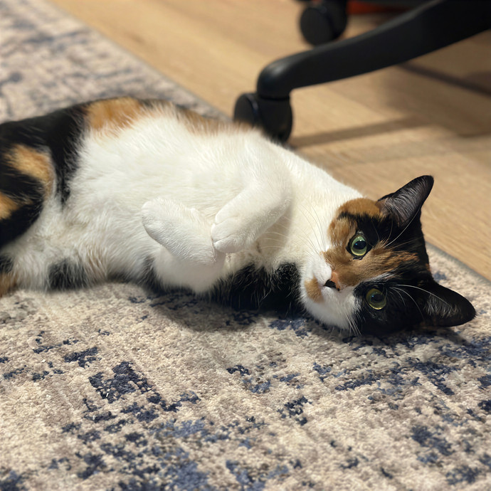 Purrrfect Pet Sitting