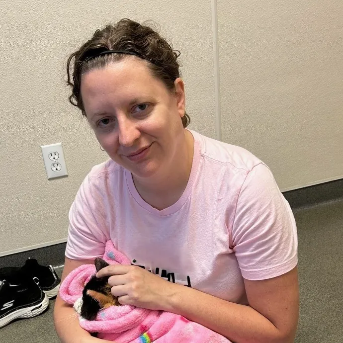 Dani's California Cat Cavalcade