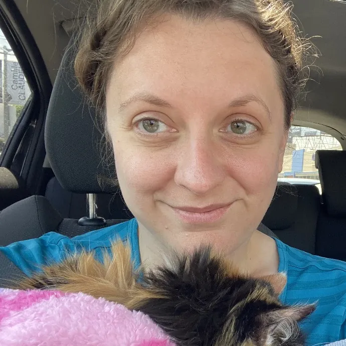 Dani's California Cat Cavalcade