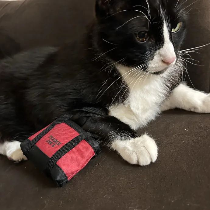 Sherman Oaks Purrfect Cat Care
