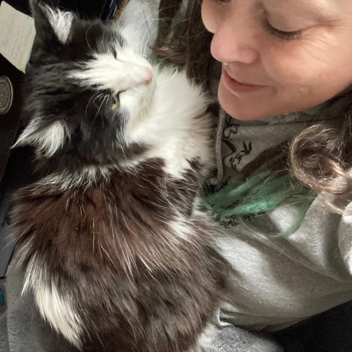 The Cat Empath - 20 Years Experience