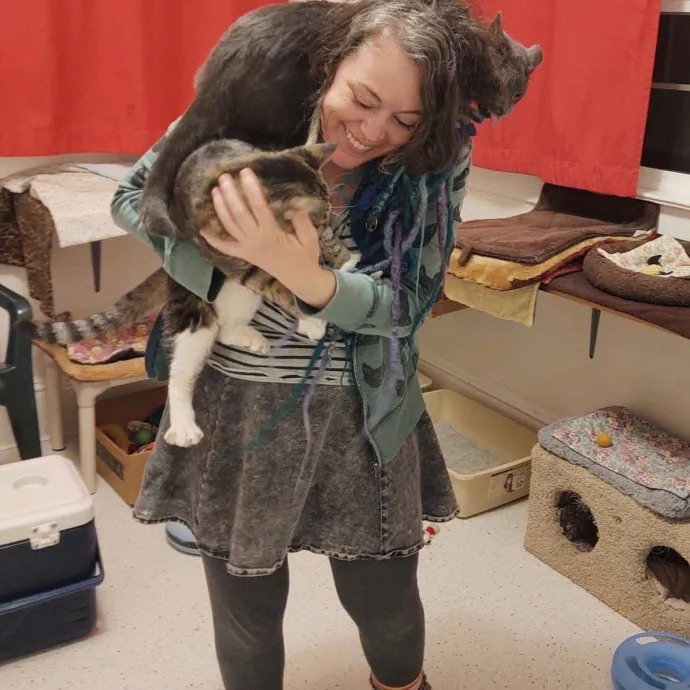 The Cat Empath - 20 Years Experience