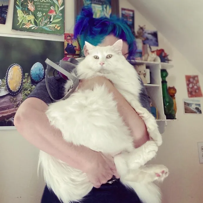 The Cat Empath - 20 Years Experience