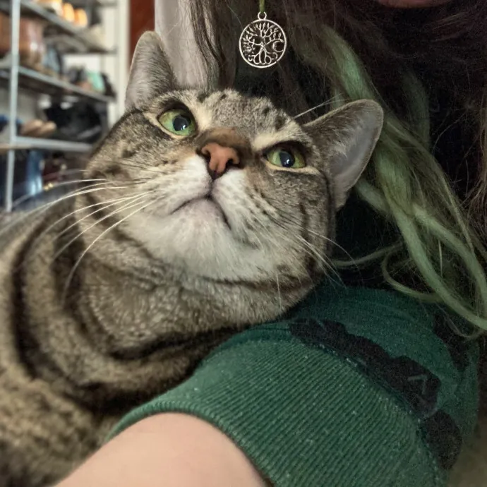 The Cat Empath - 20 Years Experience