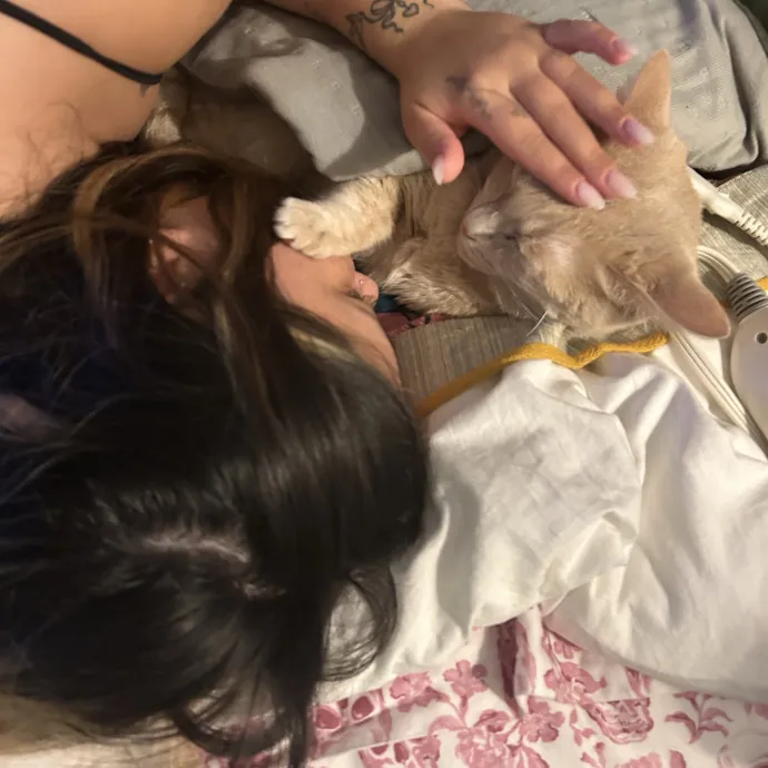 More Than Just Pet Care