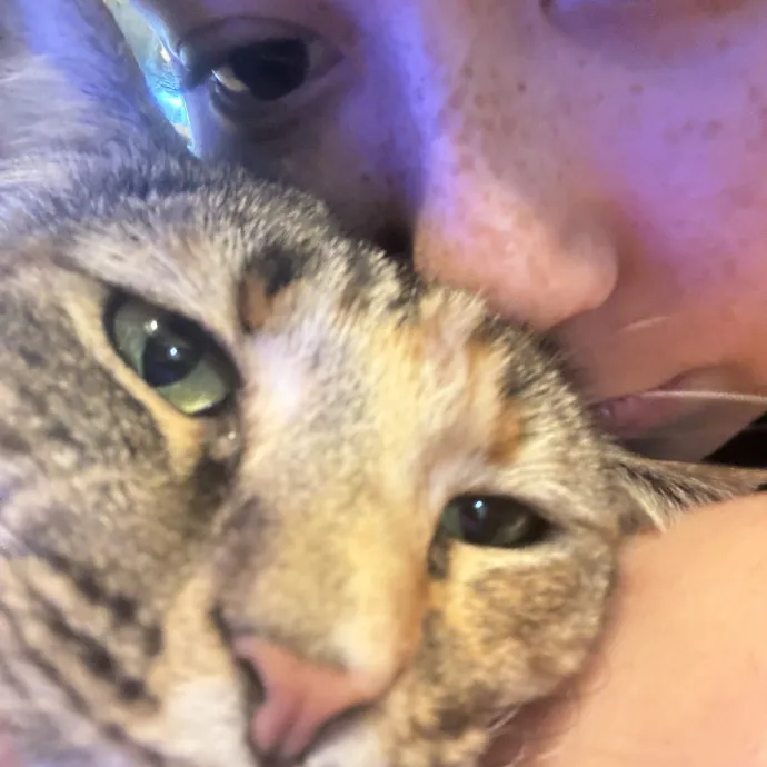 More Than Just Pet Care photo 3