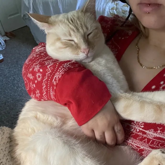 More Than Just Pet Care photo 2