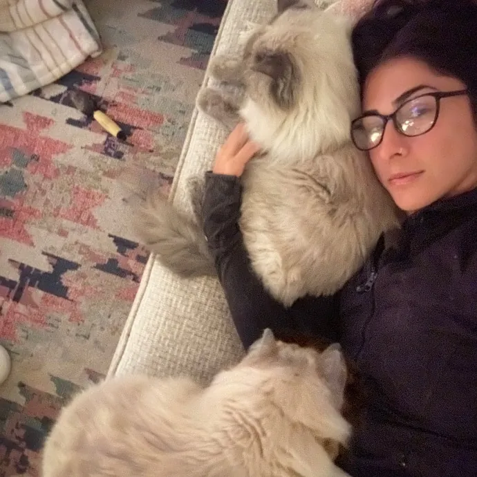 Ready To Pet Or Not Pet Your Cat