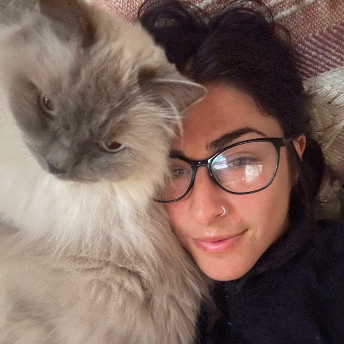 Ready To Pet Or Not Pet Your Cat