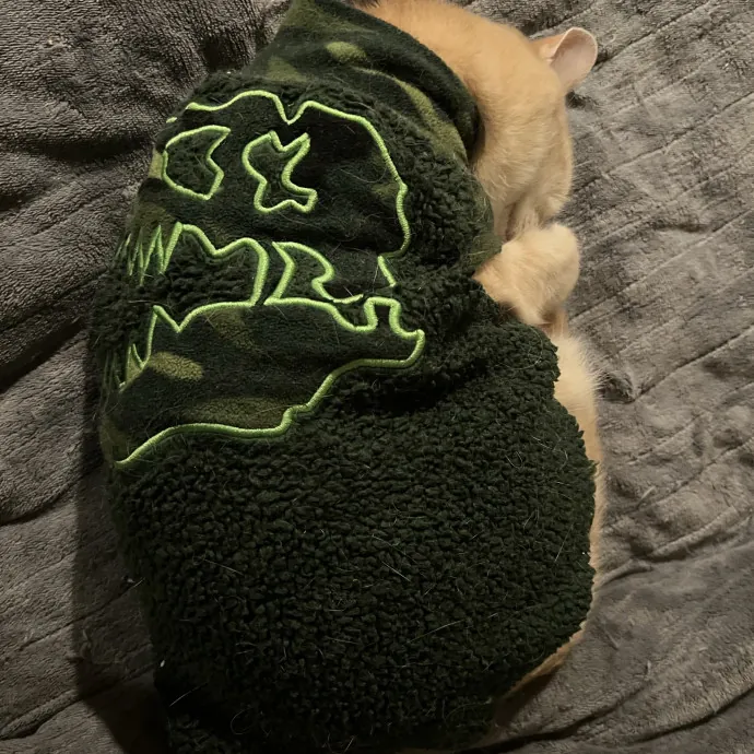 Joselin The Cat Lady