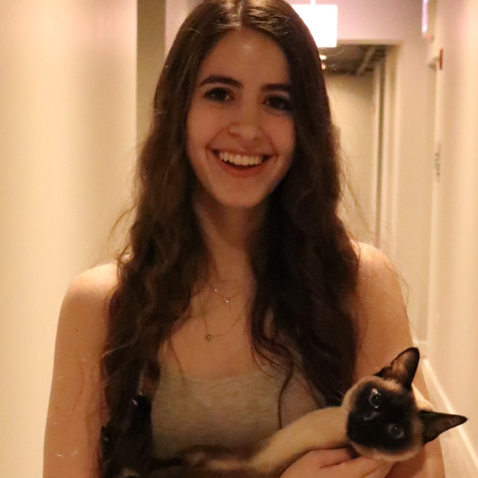 Trusted Loving Care For Every Cat