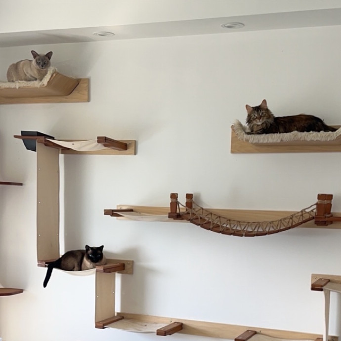 Trusted Loving Care For Every Cat photo 2