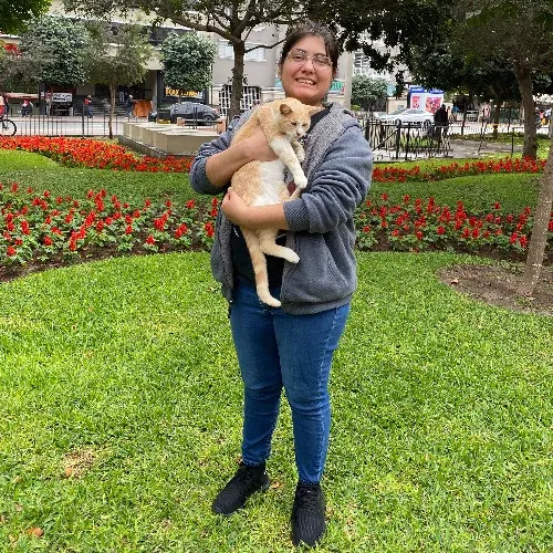 Carla's High Quality Kitty Sitting