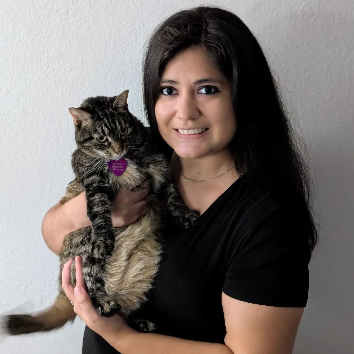 Carla's High Quality Kitty Sitting photo 2