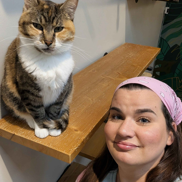Experienced Cat Café Caregiver  Medicat photo 3