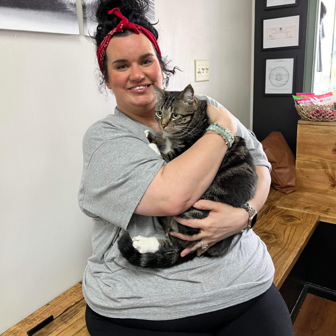 Experienced Cat Café Caregiver  Medicat photo 2