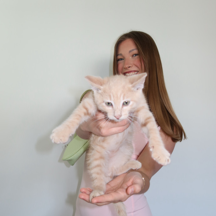Your Cat's Next Best Friend