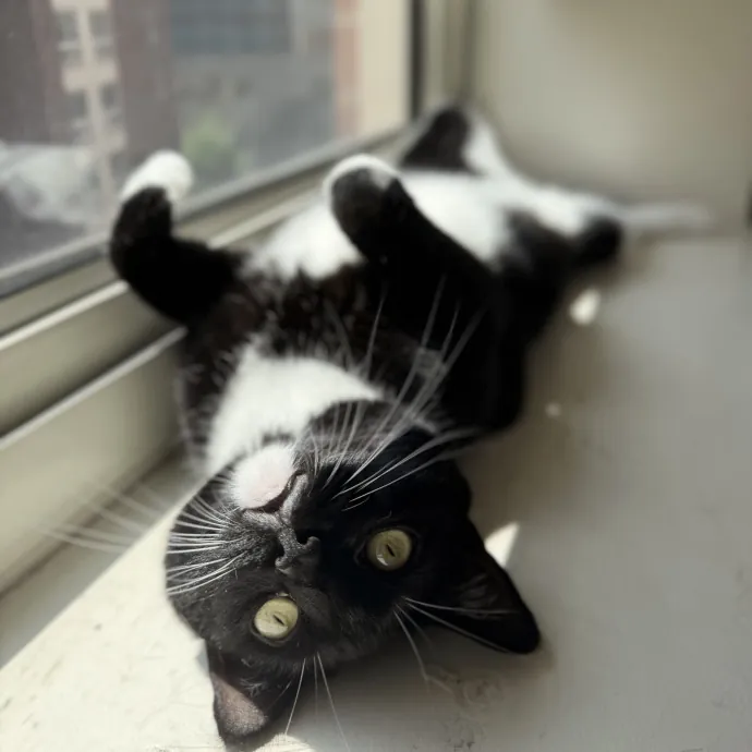 Jackie F.