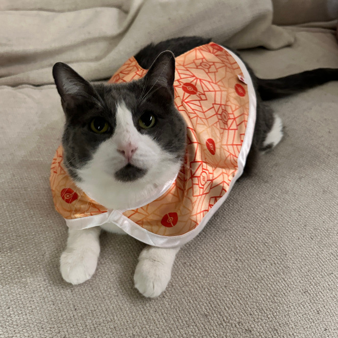 Hunter's Housecat Haven photo 2