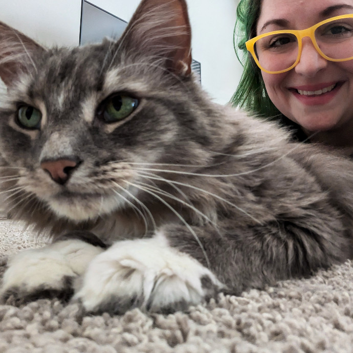 Your Cat's Purr-Sonal Care Companion