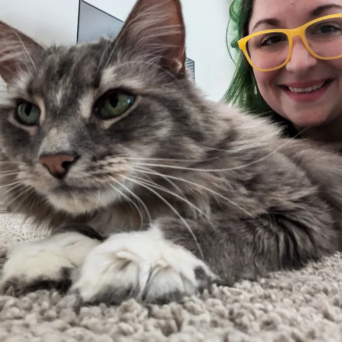 Your Cat's Purr-Sonal Care Companion