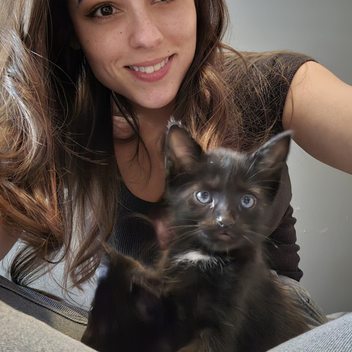 Chaos Gremlins Cat Sitting