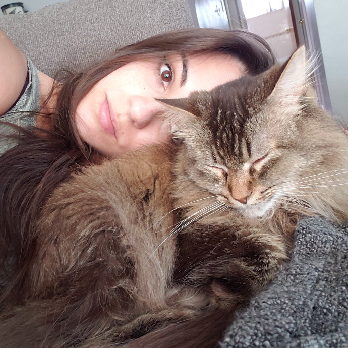 Chaos Gremlins Cat Sitting