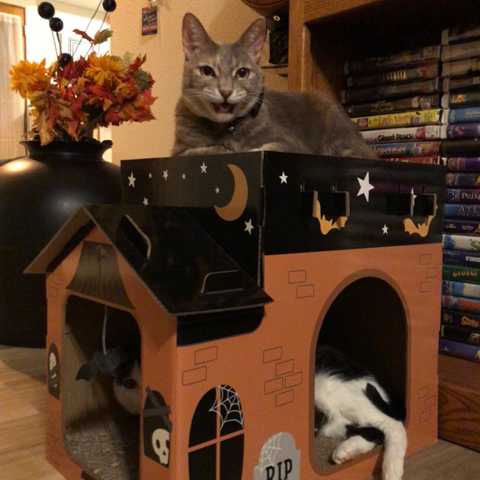 Freya's Chariot