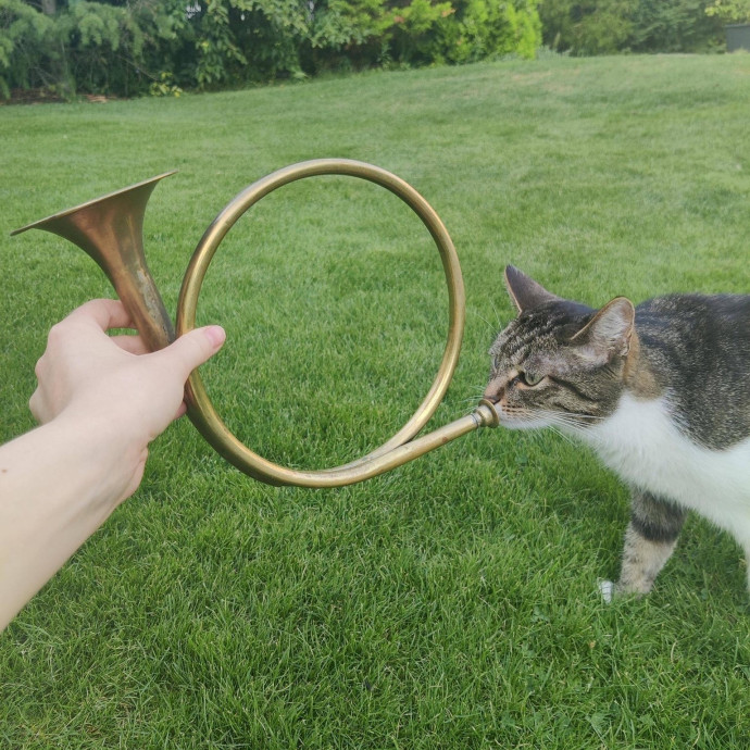 Freya's Chariot