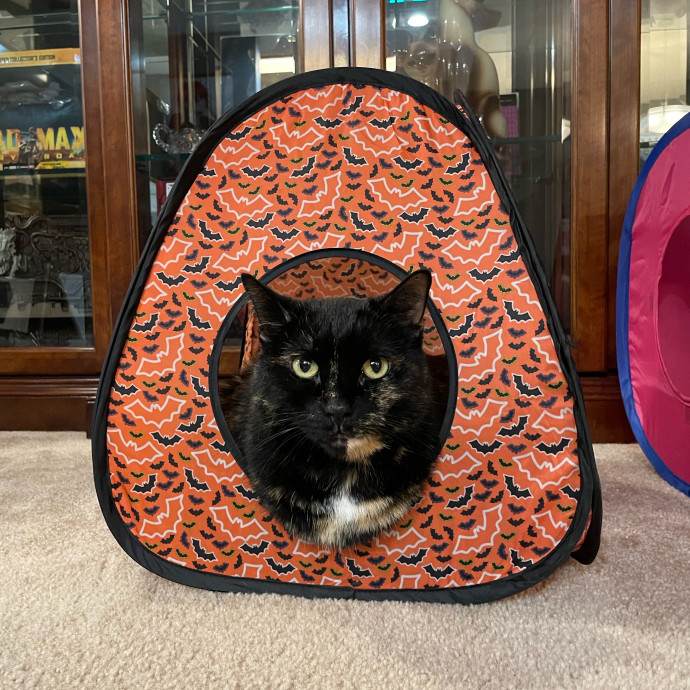 Michelle's Meowvalous Sitting Service