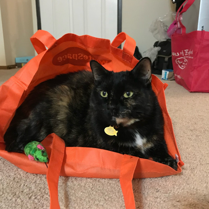 Michelle's Meowvalous Sitting Service