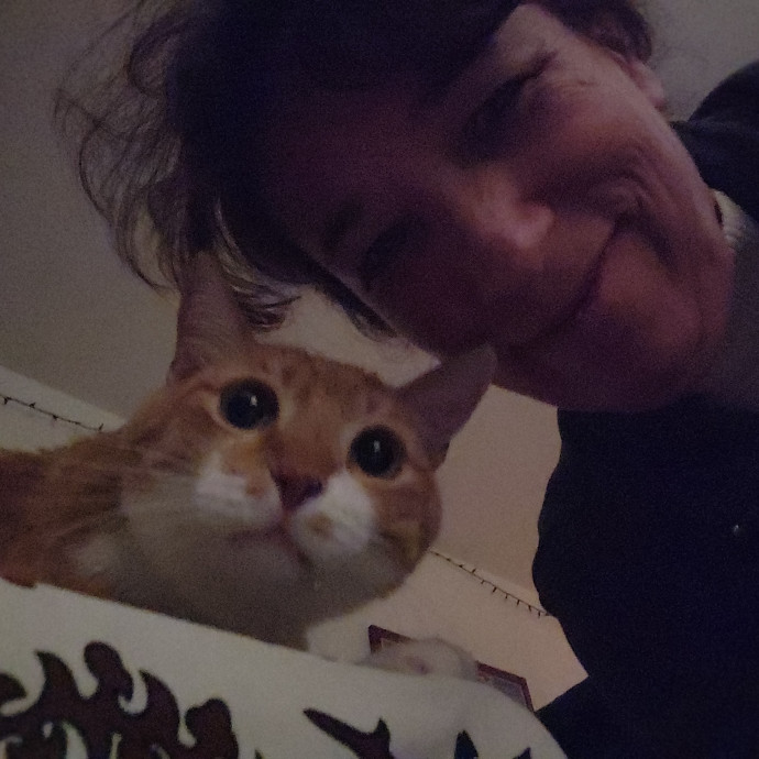 Amy The Cat Whisperer