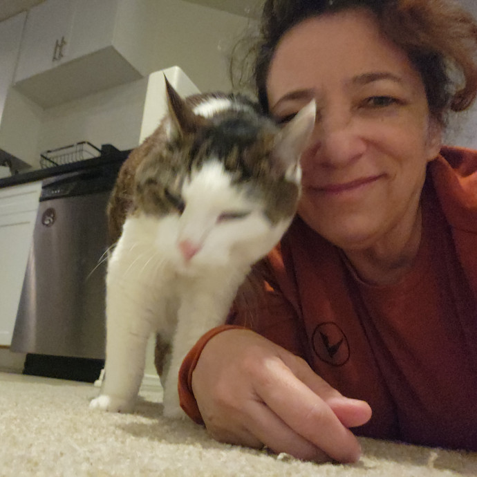 Amy The Cat Whisperer photo 3