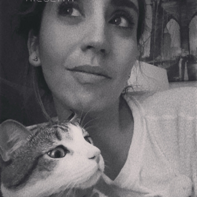 Am A True Cat Lover With Years Of Experi