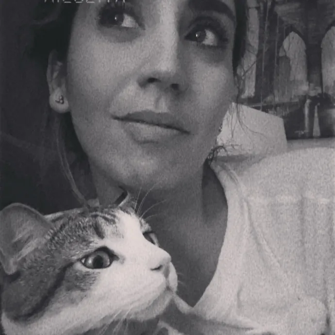 Am A True Cat Lover With Years Of Experi