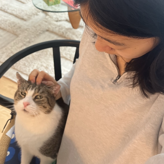 Brooklyn-Based Cat Sitter