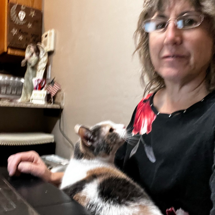 Calm Loving Cat Lover